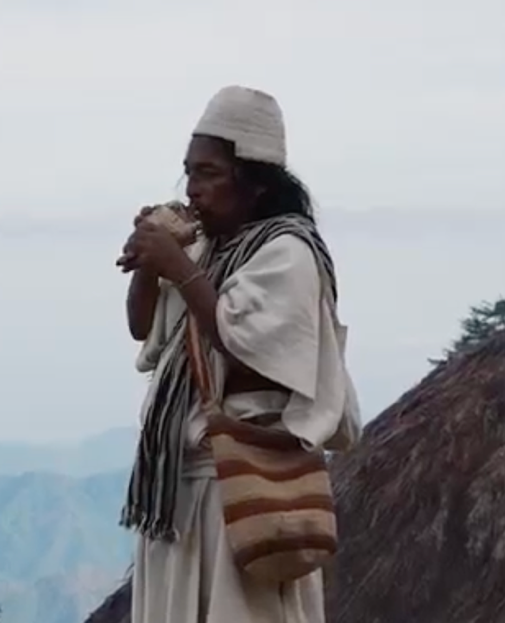 MAMO GABRIEL (Arhuaca)